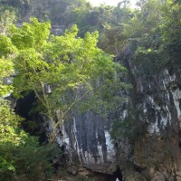 Phong Nha Paradise Cave And Dark Cave Tour Travel Tours G