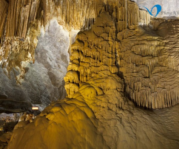 Phong Nha Paradise Cave And Dark Cave Tour Travel Tours D
