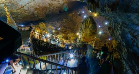 Phong Nha Ke Bang National Park 2 Days 1 Night Private Tour