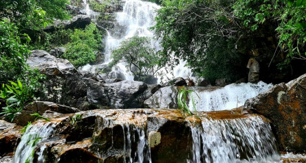 Paradise Cave and Trekking Wind Waterfall Phong Nha Botanic Garden Tour