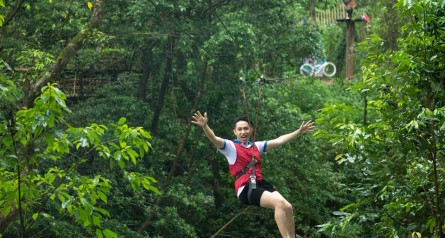 Paradise Cave and Ozo Treetop Park Tour