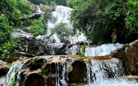 Paradise Cave and Trekking Wind Waterfall Phong Nha Botanic Garden Tour