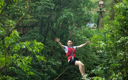 Paradise Cave and Ozo Treetop Park Tour