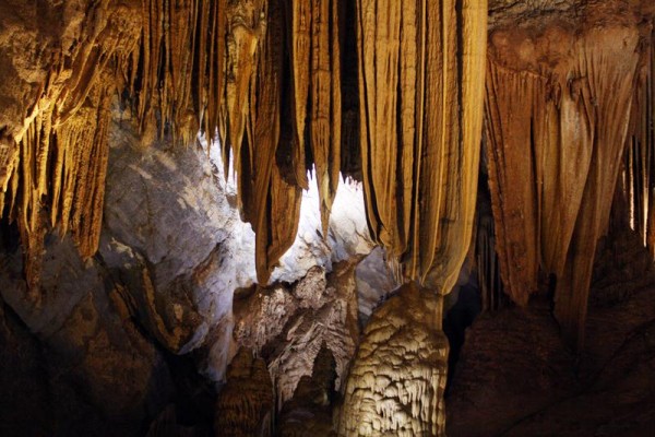 Phong Nha Cave Tour And Trekking Phong Nha Botanic Garden Tour