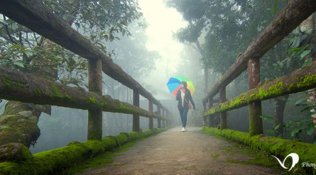 Tour Du Lịch Đà Nẵng – Tour Đà Nẵng 2 Ngày 1 Đêm