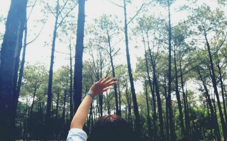 Đường Ba Trại “Con đường Đà Lạt” ở Quảng Bình