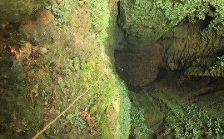 Kỳ lạ hang động thẳng đứng như giếng tại Phong Nha