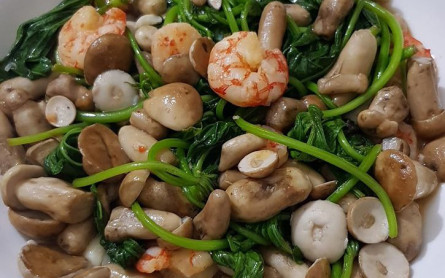 Nấm tràm Quảng Bình món ngon bổ dưỡng