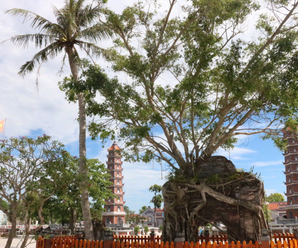 Tour Chua Hoang Phuc Quang Binh 8