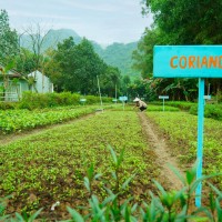 Chaylapfarmstay8