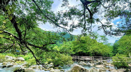 Tour Hà Nội Quảng Bình 2 ngày 3 đêm: Phong Nha Kẻ Bàng – Sông Chày Hang Tối – Động Thiên Đường – Suối Nước Moọc
