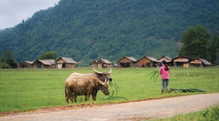 Tour du lịch Làng Tân Hóa 2 ngày 1 đêm – Phong Nha Kẻ Bàng