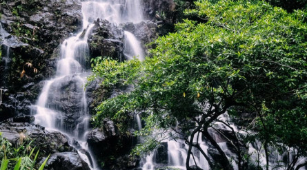 Tour Quảng Bình ghép 2 ngày 1 đêm: Phong Nha Kẻ Bàng – Thác Gió – Suối Bang Onsen