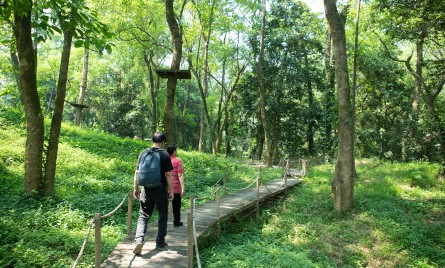 Săn ảnh đẹp như mơ tại công viên Ozo giữa núi rừng Phong Nha Kẻ Bàng