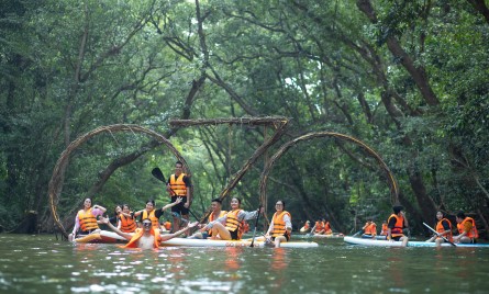 Hướng dẫn du lịch Phong Nha Kẻ Bàng 2 ngày 1 đêm tự do khám phá