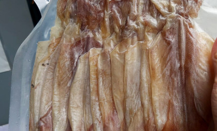 Hải sản khô Quảng Bình – Món quà độc đáo đậm vị biển cho người thân