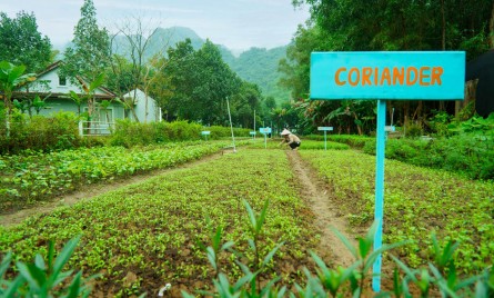 Chày Lập Farmstay – Trải nghiệm cuộc sống yên bình giữa thiên nhiên