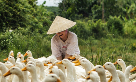 Khám phá Quảng Bình theo phong cách mới mẻ, đầy cảm hứng