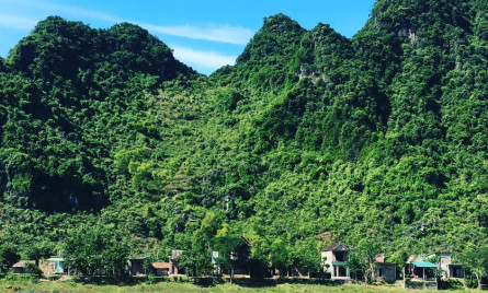 Hướng dẫn du lịch Phong Nha – Kẻ Bàng lễ 2/9 cho kỳ nghỉ vui vẻ