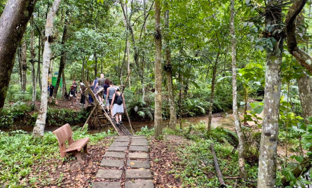 Mùa đông có nên du lịch Phong Nha – Kẻ Bàng không?