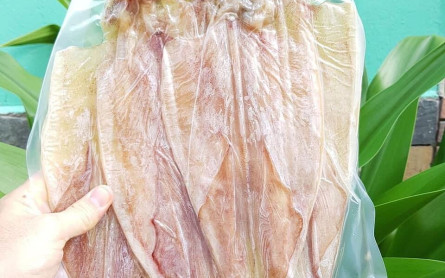 Mực khô Quảng Bình – Cách chọn mực khô ngon