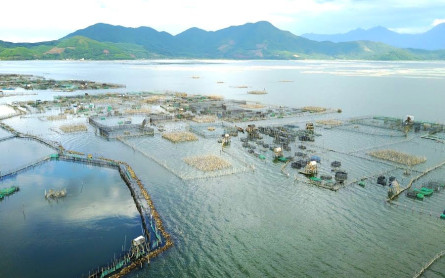 Đầm Cầu Hai – Mênh mông biển trời sông nước