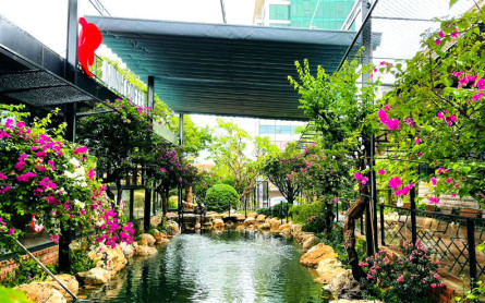 Minh Coffee – Cà phê cá Koi Quảng Bình