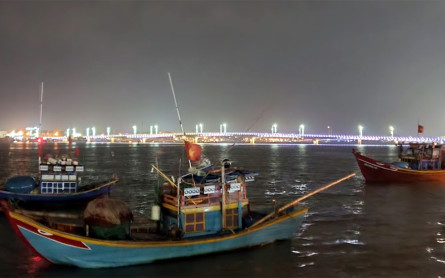 Trải nghiệm câu mực đêm biển Nhật Lệ cùng ngư dân cực thú vị