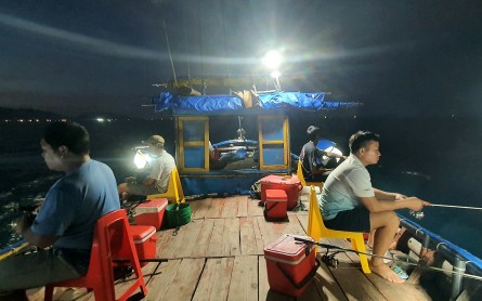 Tour câu mực đêm biển Nhật Lệ cùng ngư dân