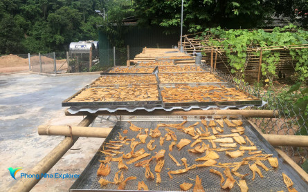 Măng rừng khô Cà Roòng – Đặc sản của núi rừng Quảng Bình