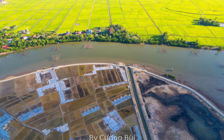 Cánh đồng muối Quảng Bình trắng tinh khiết