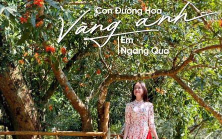 Tuyệt chiêu chụp ảnh đẹp mê ly tại Suối Nước Moọc Quảng Bình