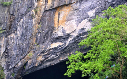 Đi Động Thiên Đường hay Động Phong Nha: Lựa chọn nào cho bạn?