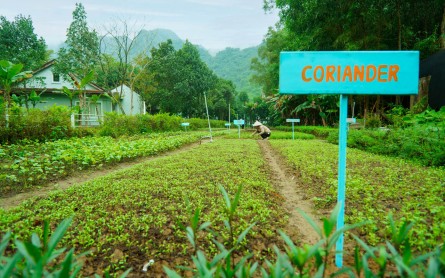 Chày Lập Farmstay – Trải nghiệm cuộc sống yên bình giữa thiên nhiên