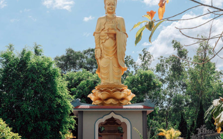 Tổ đình Sắc Tứ Tịnh Quang – Biểu tượng tâm linh xứ Quảng Trị