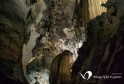 Phong Nha Cave And Botanic Garden Tour I