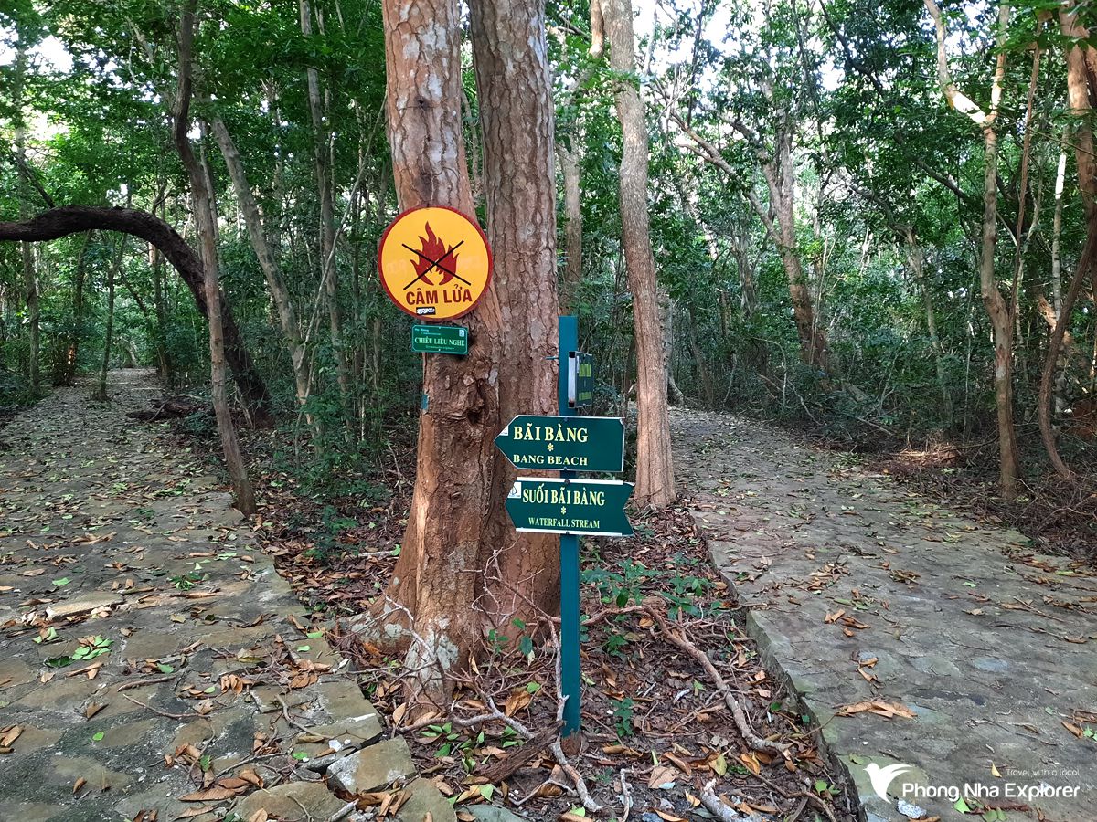 Vườn Quốc Gia Côn Đảo - Hệ Động Thực Vật Vô Cùng Phong Phú
