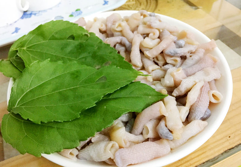 Sá sùng món ăn ngon đặc sản Quảng Bình