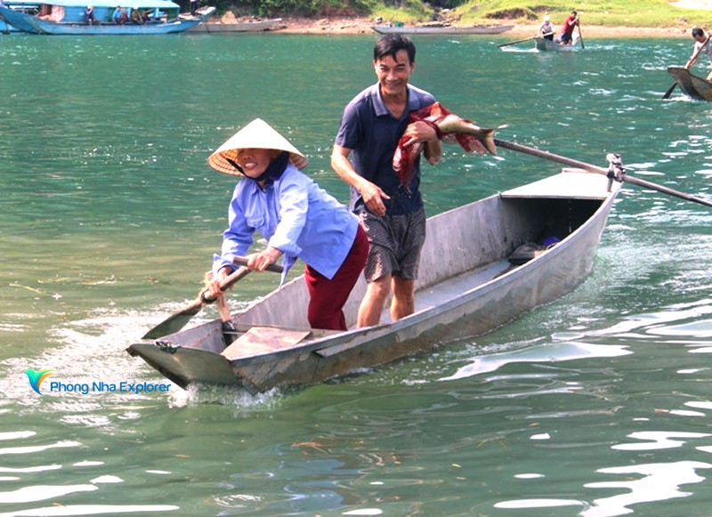 Cá Trắm Phong Nha