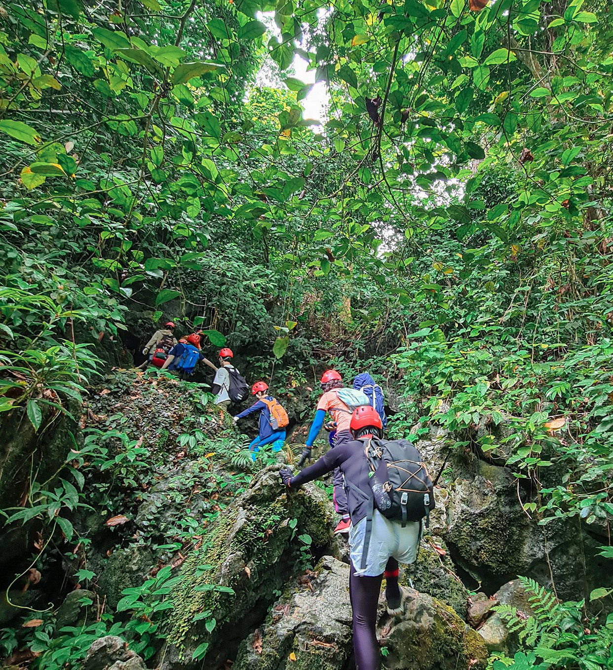 Tour Trekking Phong Nha - Thung Lũng Sinh Tồn - Hang Thủy Cung