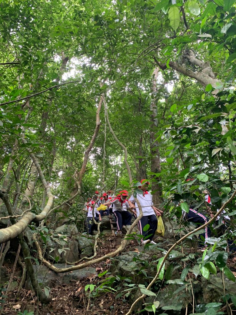Trẻ được tham gia trải nghiệm trekking rừng tuyến đơn giản