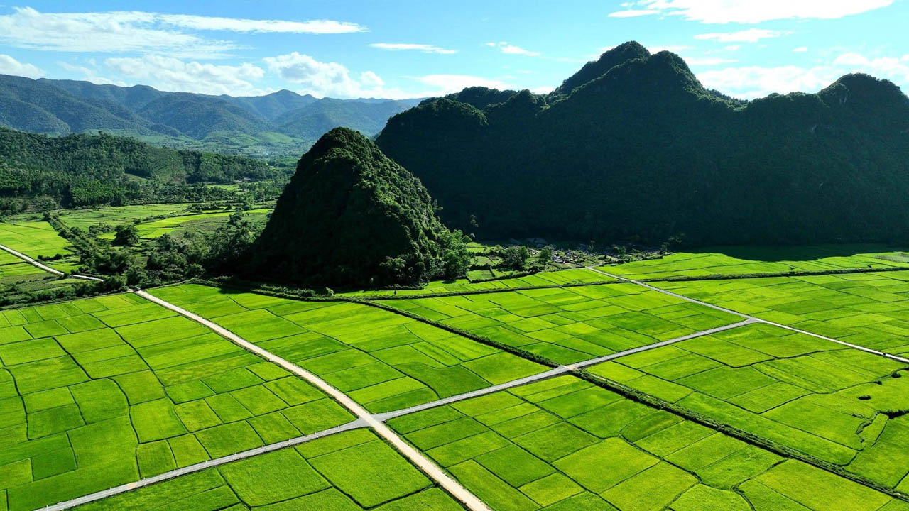 Khu bảo tồn cộng đồng Vọoc gáy trắng