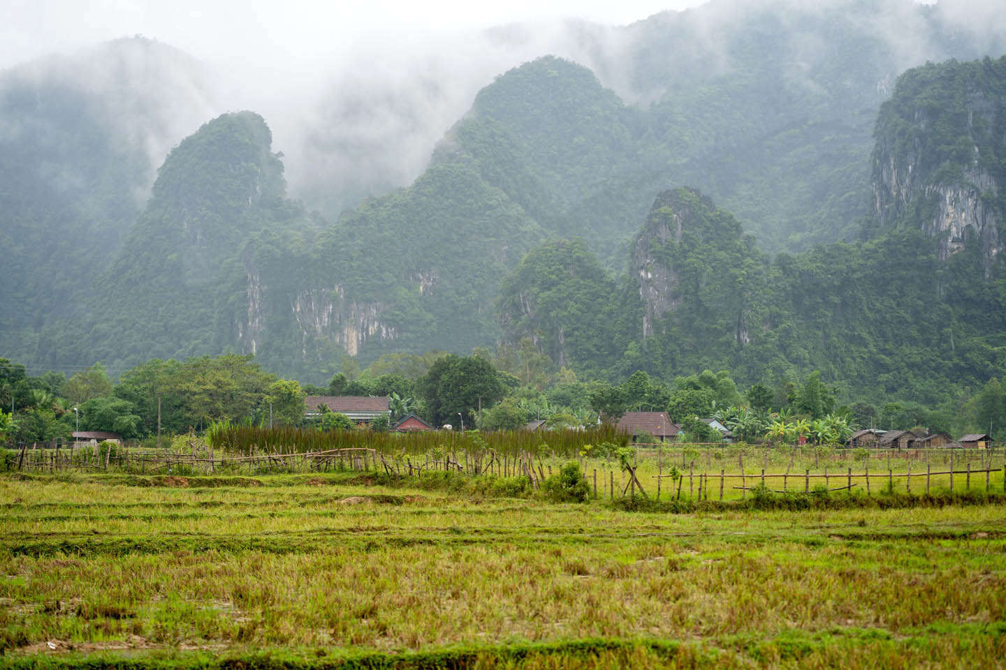 Làng Tân Hóa