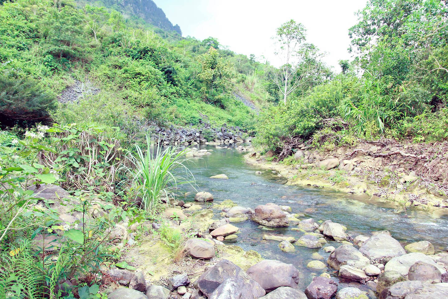 Thác Bụt