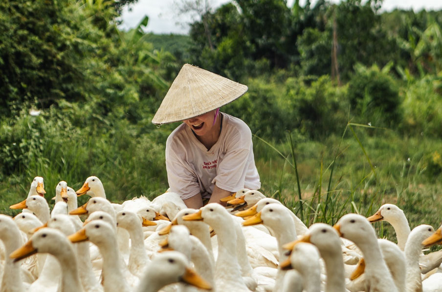 Trở thành "người nông dân" ở Phong Nha - Kẻ Bàng