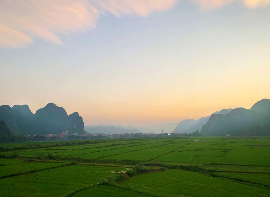 Cánh đồng xanh mướt ở Phong Nha Kẻ Bàng