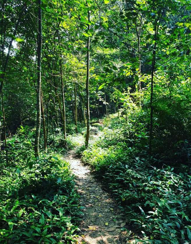 Vườn thực vật Phong Nha